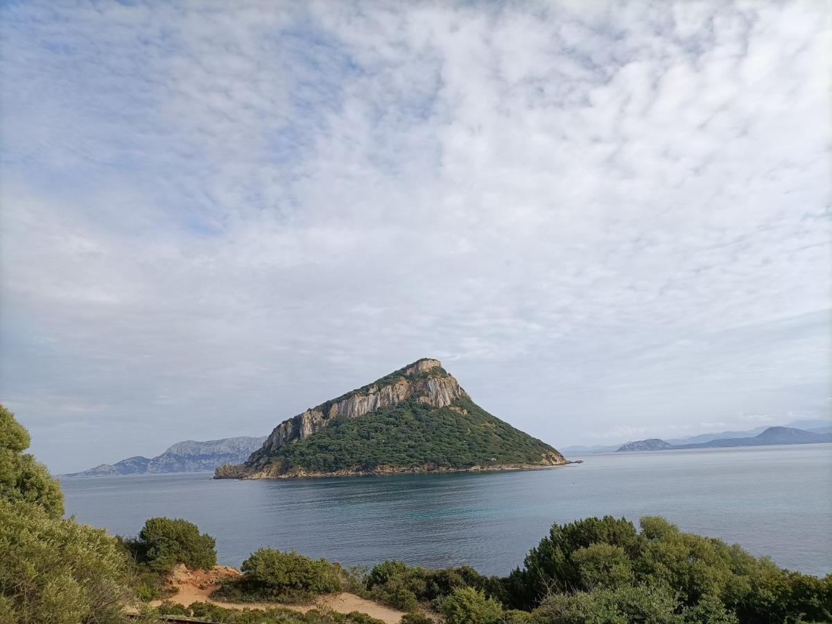 Vgm Room Olbia Eksteriør bilde
